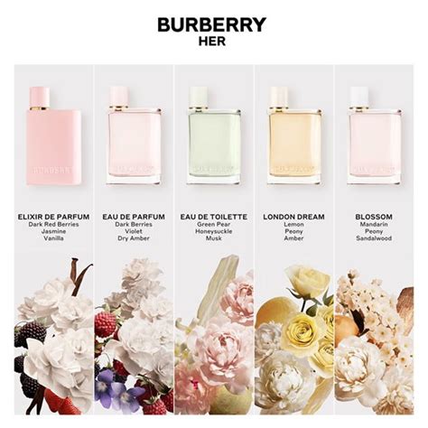 burberry her scent profile|burberry her scent description.